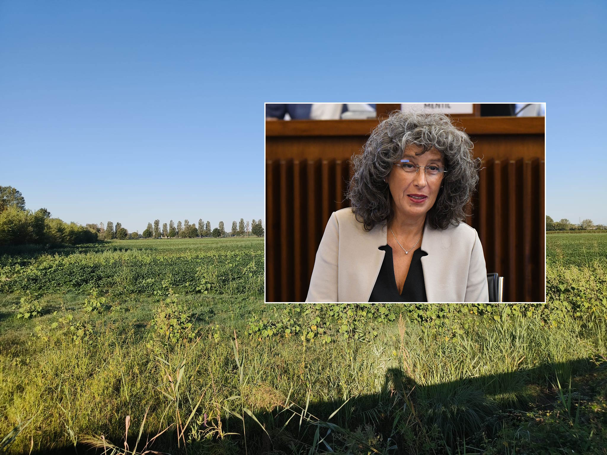 Agrivoltaico al Brancolo, Pellegrino appoggia il 'no' di Staranzano: «Assalto speculativo»