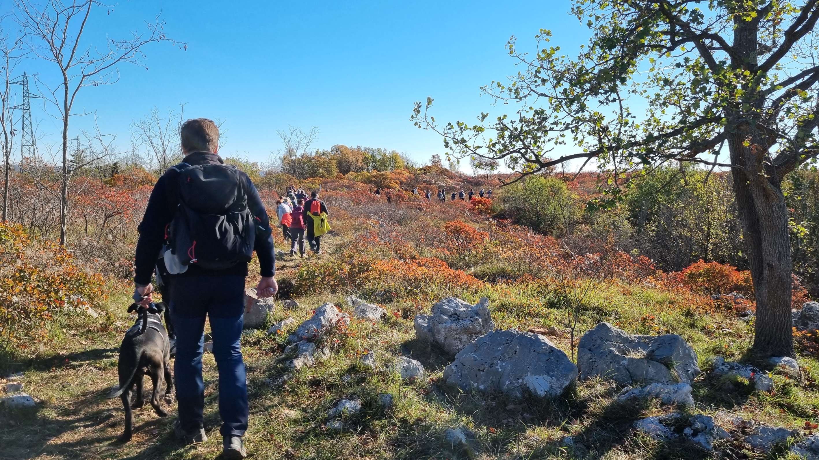 Escursione a Jamiano ‘con vista sul golfo’, ecco l’iniziativa di Curiosi di natura per ‘Sapori del Carso’