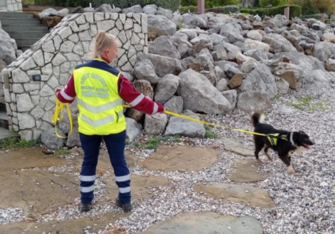 Immagine per Duino Aurisina, due giorni di esercitazione delle Unità Cinofile Mantrailing per la ricerca di persone scomparse 