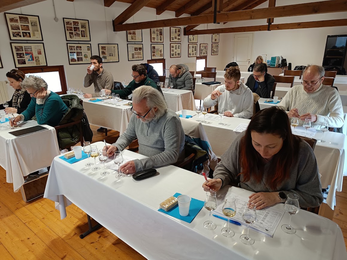 Immagine per Cormons, parte a ottobre il corso di primo livello per ‘Aspiranti Assaggiatori’ di grappe e acqueviti