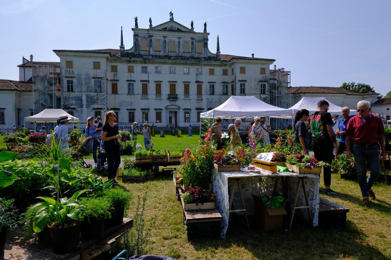 Immagine per ‘Nel Giardino del Doge’, a Villa Manin anche espositori dal Goriziano per la 23esima rassegna florovivaistica 