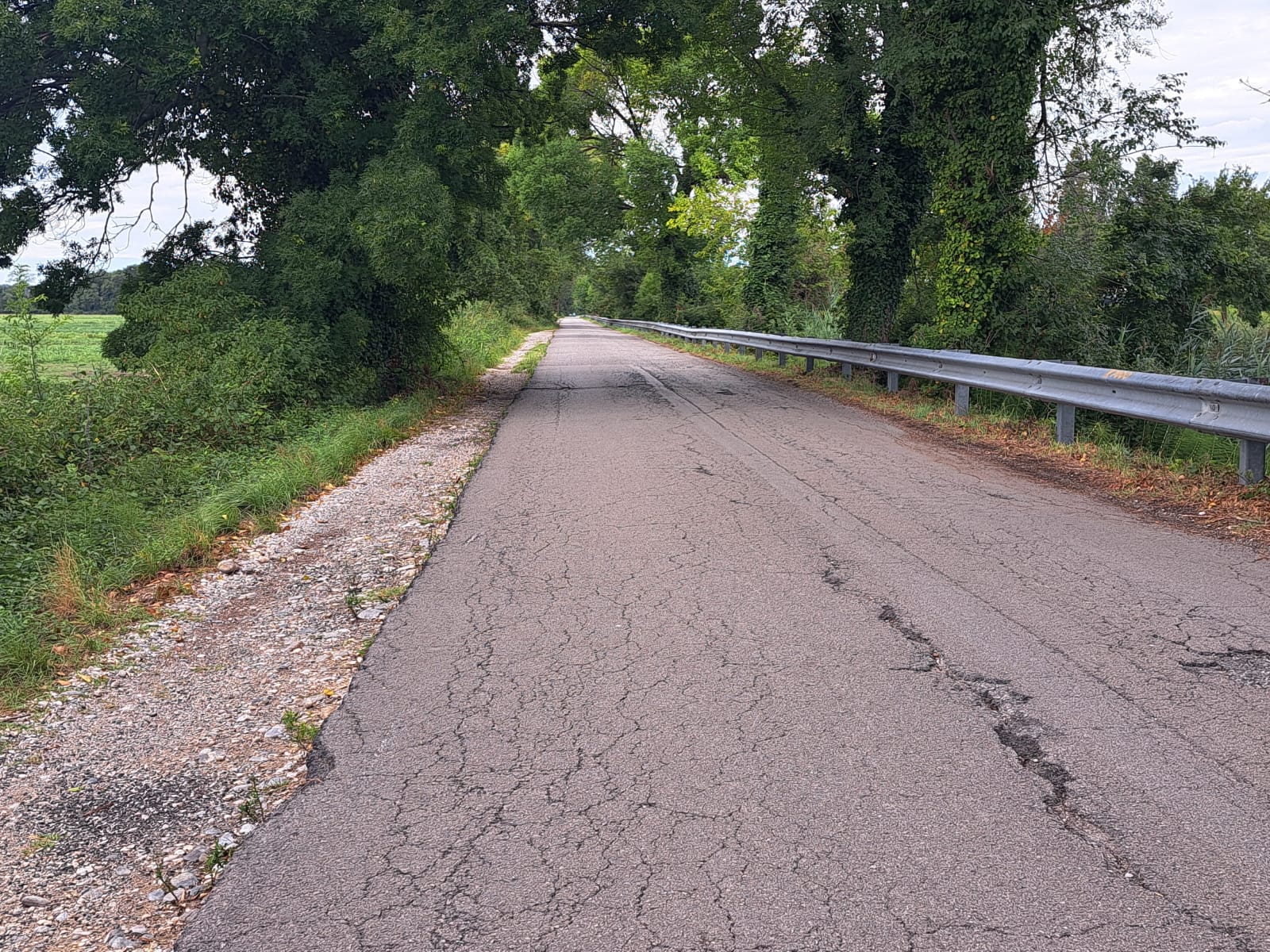 Copertina per Strada del Brancolo, Panarito richiama le criticità per la viabilità: «Si verifichi l’idoneità al doppio senso di marcia»