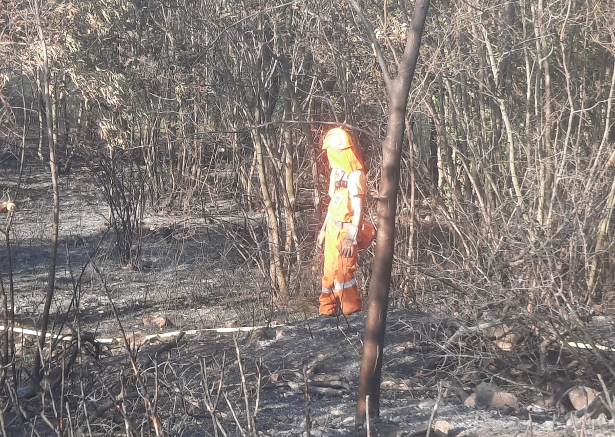 Immagine per Incendio a Monfalcone, proseguono le operazioni di bonifica. Attivo da ieri il drone della Polizia Locale 