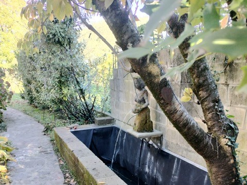 Parco del Carso a Monfalcone, svolta la manutenzione ordinaria delle aree boschive. Nel 2026 si interverrà sulla viabilità forestale 