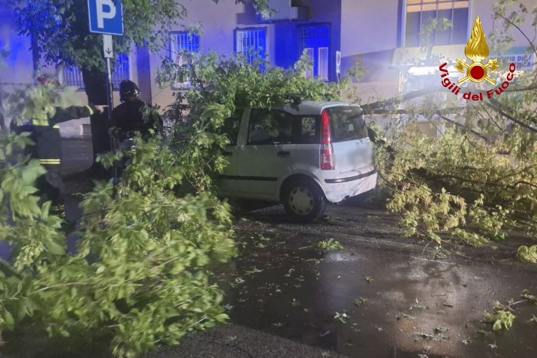 Copertina per Nottata di maltempo sul Fvg: oltre venti segnalazioni fra alberi caduti e interruzioni di corrente nel Goriziano