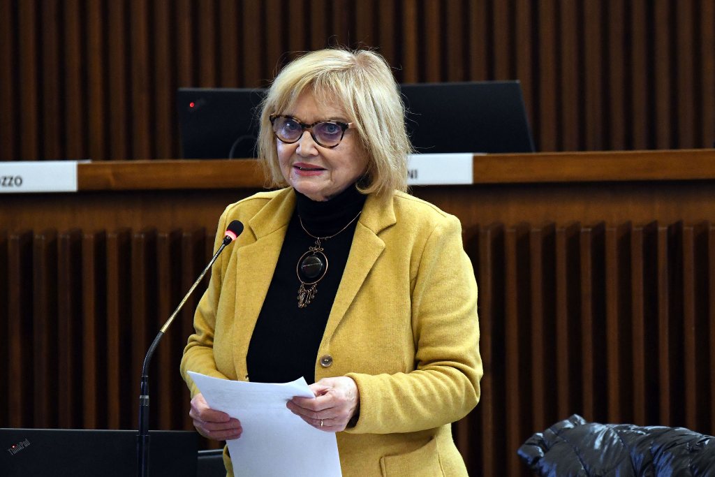 Copertina per Incidenti ed eccesso di velocità sulla Sr56 Mossa-Lucinico, Fasiolo chiede interventi in Regione