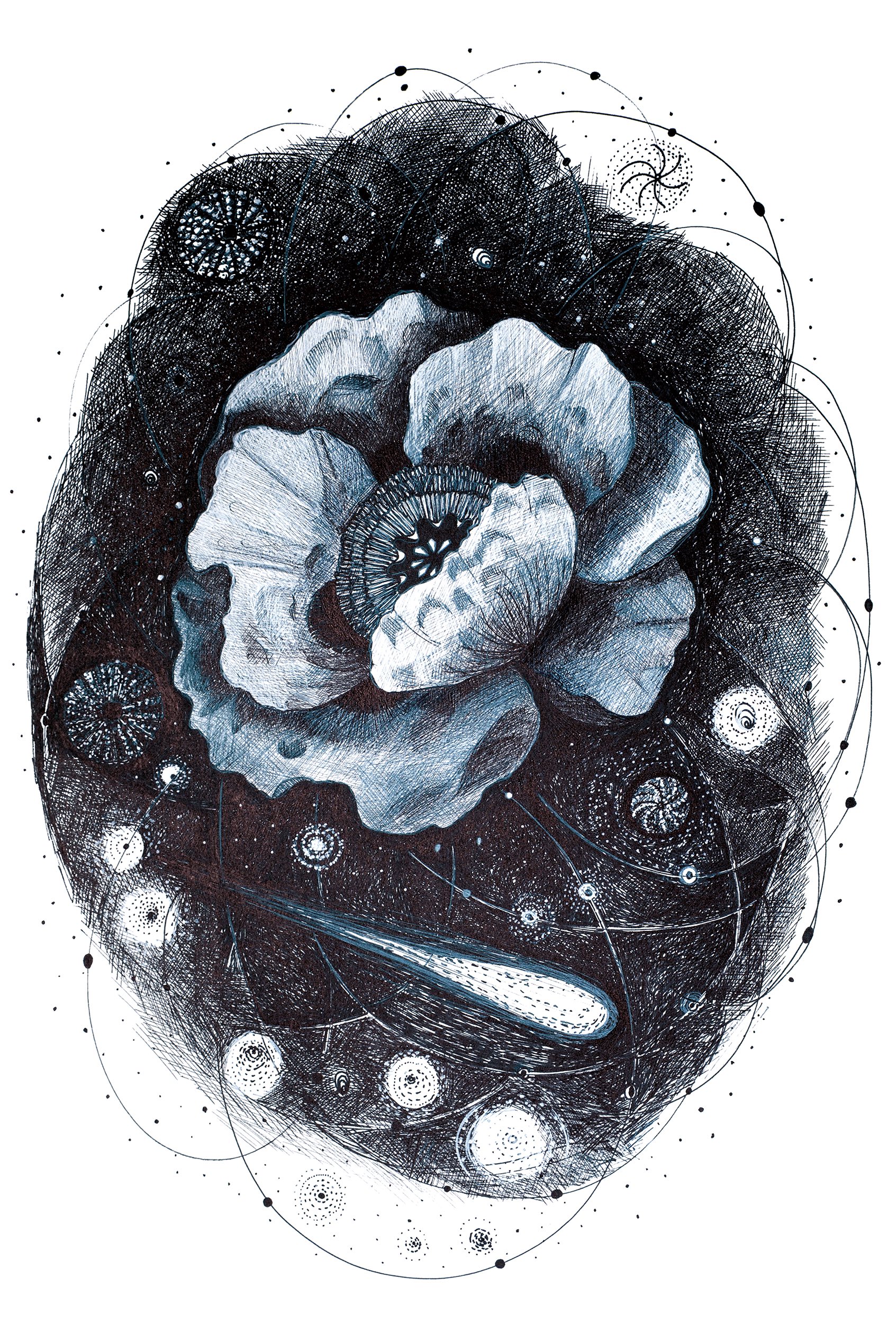 Copertina per Serena Bellini in mostra alla Portopiccolo Art Gallery, sabato 22 l’inaugurazione di ‘Giardini cosmici’