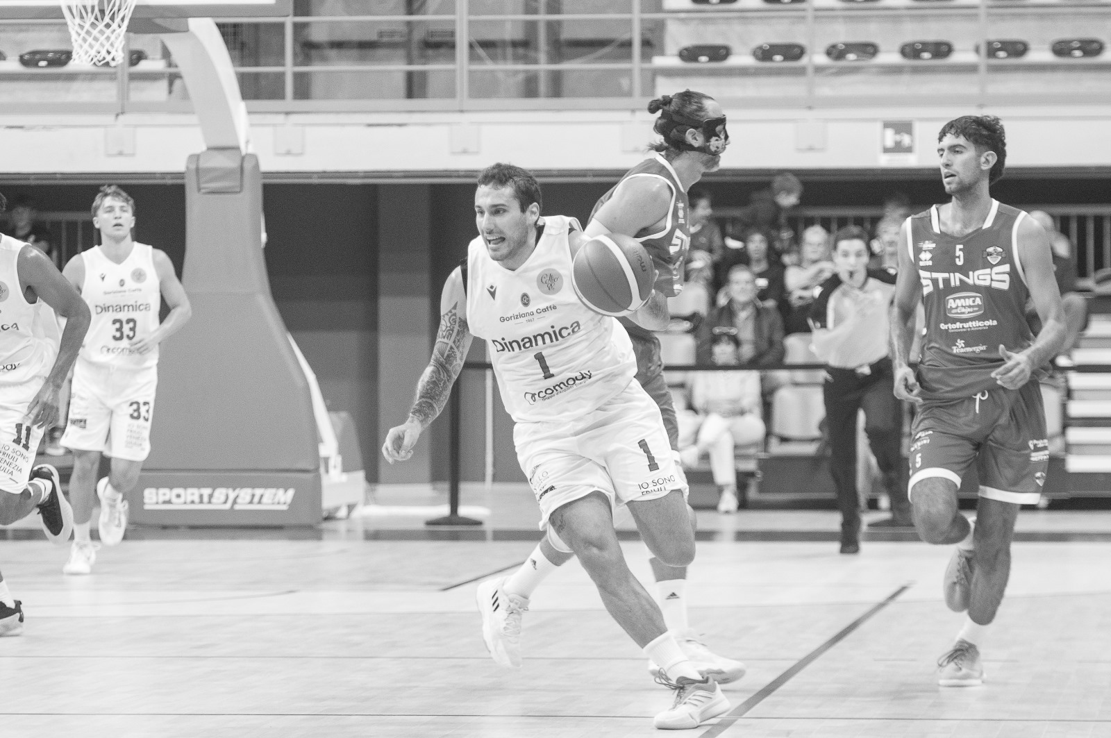 Dinamo Gorizia – Falconstar, le due squadre verso il derby al Palabigot. Coach Tomasi: «Partita difficile, dobbiamo giocare a mente sgombra»