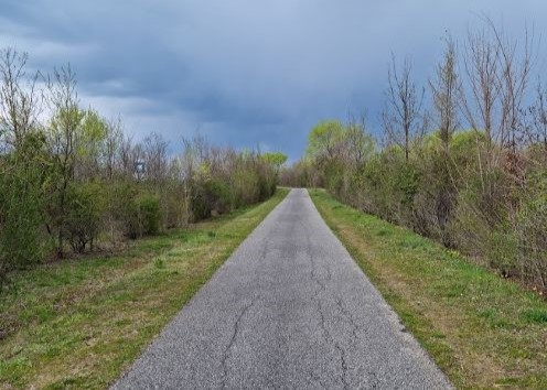Staranzano celebra la Giornata nazionale degli alberi: studenti e volontari al lavoro su 50 piante e cinque giorni di iniziative