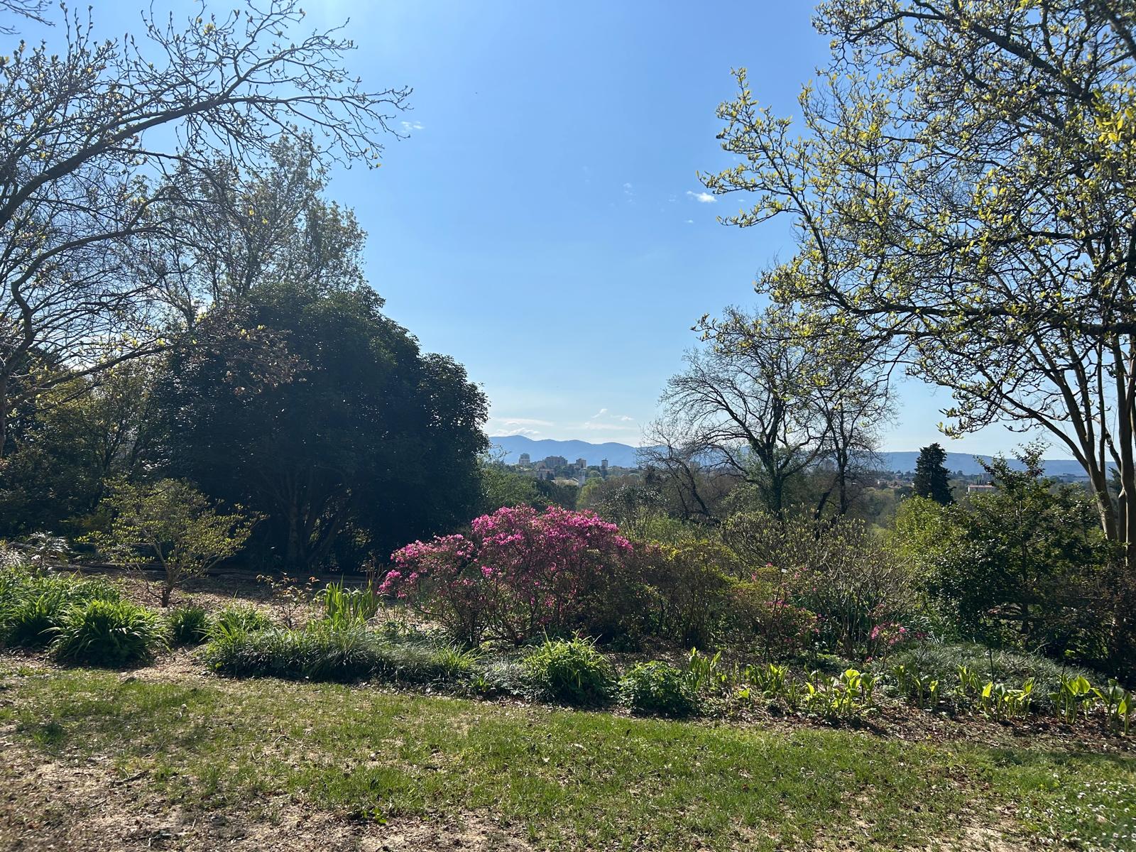 Immagine per Il pop e la lirica allietano il Giardino Viatori superando le barriere sensoriali. Arriva il 2 novembre il concerto ‘Inclusività tra natura e musica’ 