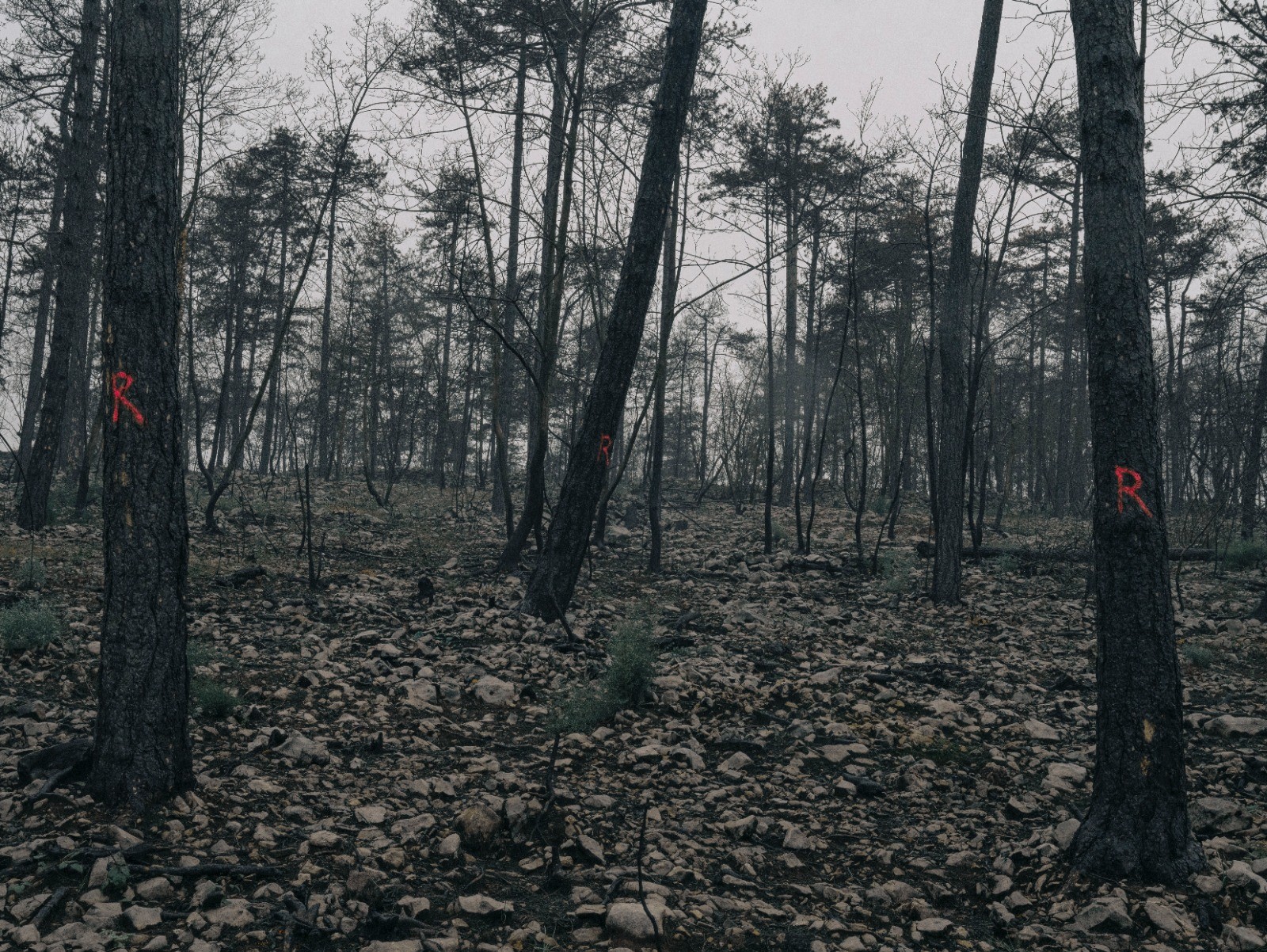 Immagine per ‘Atlante mobile del paesaggio che cambia’, a Gorizia la mostra di Alice Zorzin tra fotografia e testimonianze