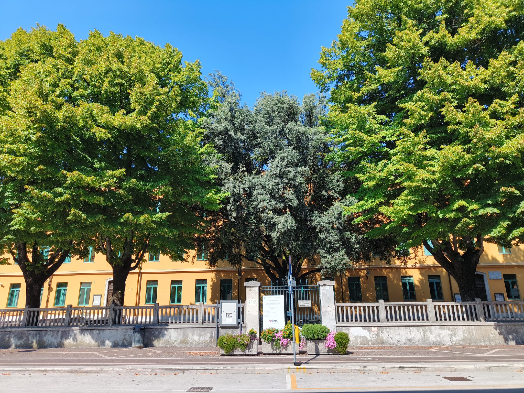 Copertina per Monfalcone, le Sinistre sulla riduzione delle classi a tempo prolungato alla Duca d’Aosta: «Equità e integrazione passano anche dalla mensa»