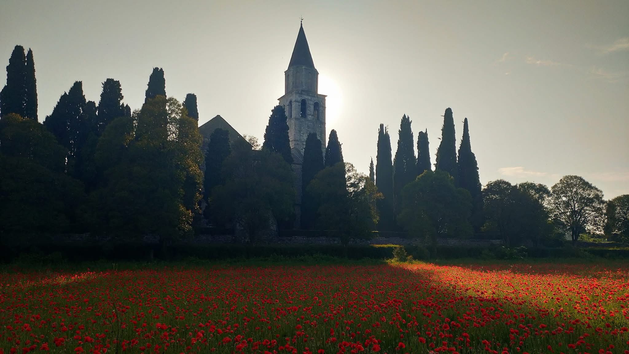 Immagine per L’Unesco approva l’allargamento della zona cuscinetto del sito archeologico di Aquileia 