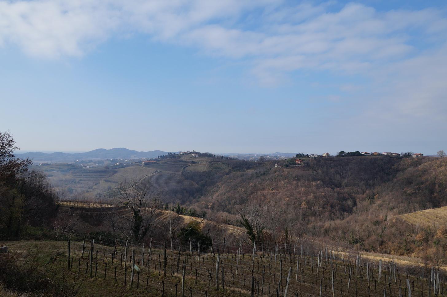 Immagine per Covid, fascia d'età tra 40 e 49 anni la più colpita in Fvg