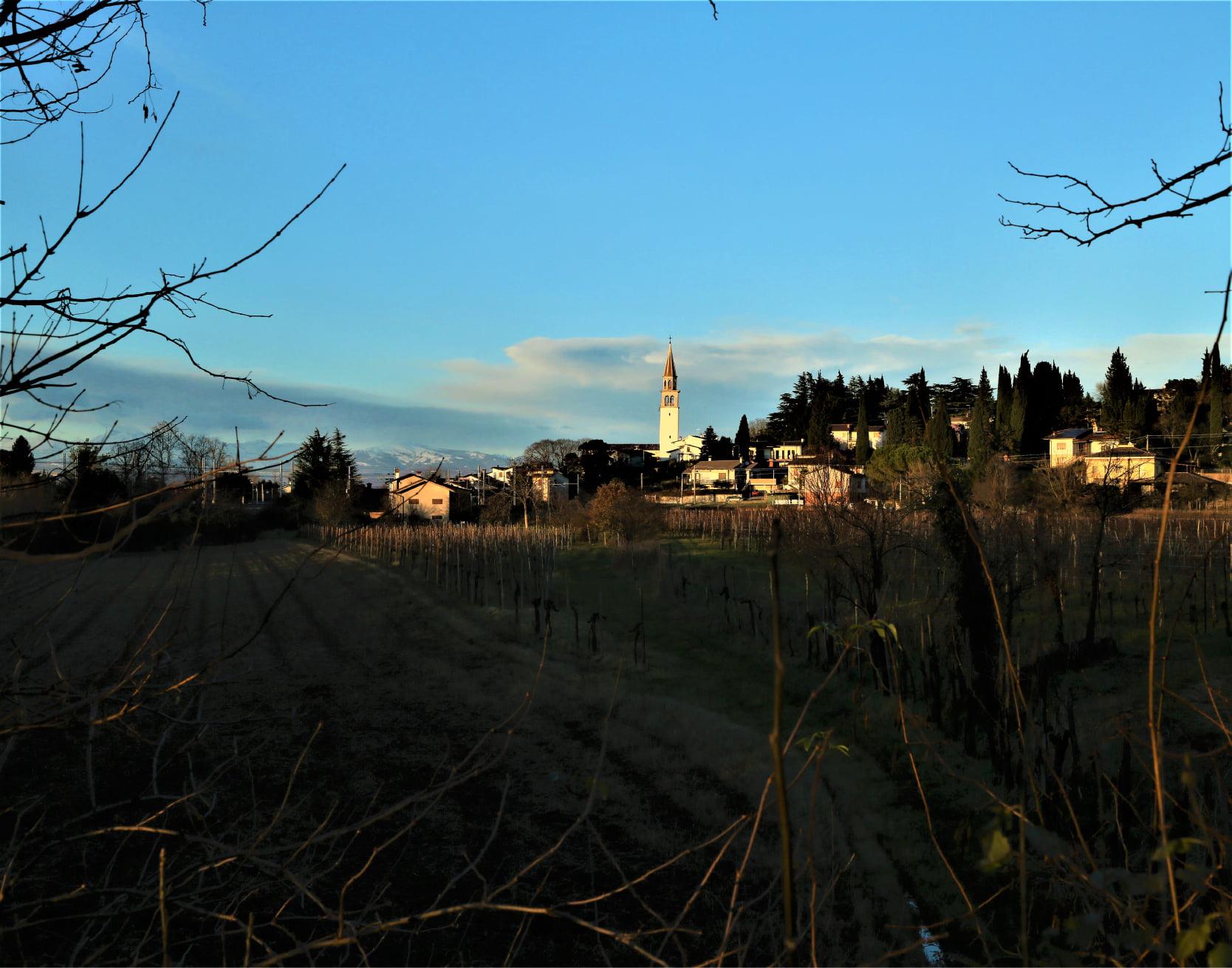 Immagine per Covid-19, in Fvg 265 nuovi contagi. Il 3,81% dei tamponi è positivo