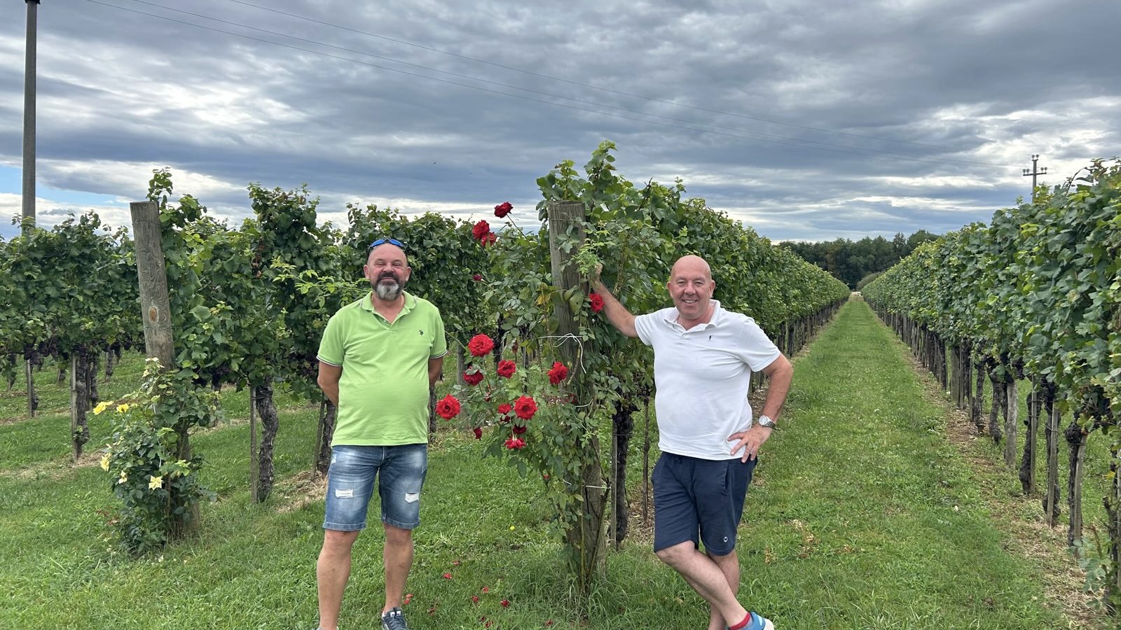 Lavoro, tradizione e ricordi si intrecciano tra i vigneti del Collio. Al via la vendemmia 2025