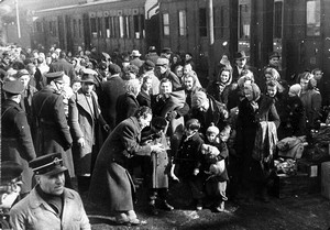 Copertina per Gorizia celebra la memoria degli esuli giuliano-dalmati: tre giorni di eventi culturali per il ricordo