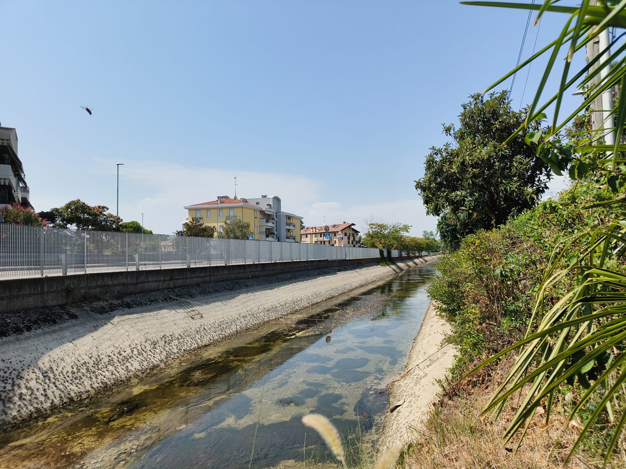 Immagine per Legambiente Monfalcone lancia l’allarme sulla crisi climatica e chiede interventi concreti