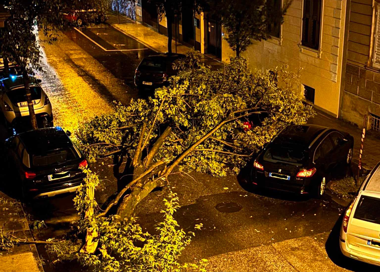 Immagine per Temporali, allagamenti e vento: il maltempo torna sul Fvg