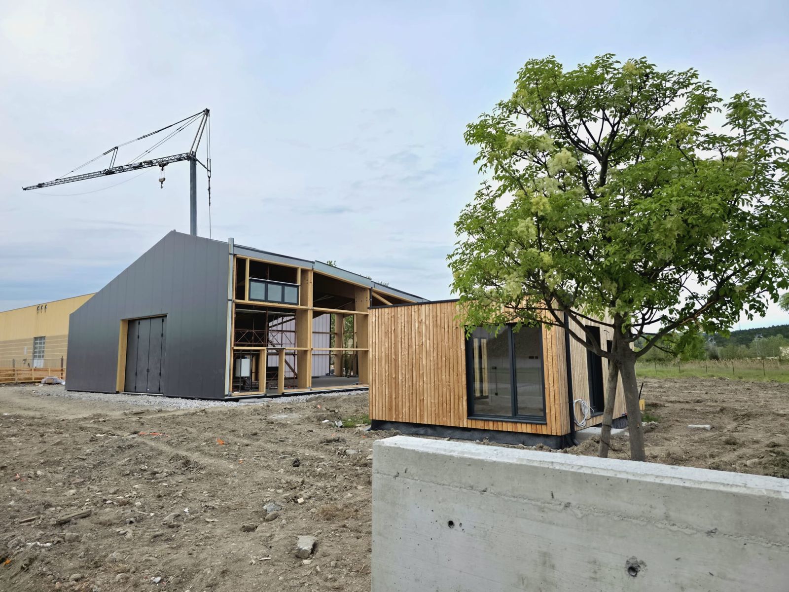 Immagine per Fotonotizia – Monfalcone, prende sempre più forma la Northern Light Composites 