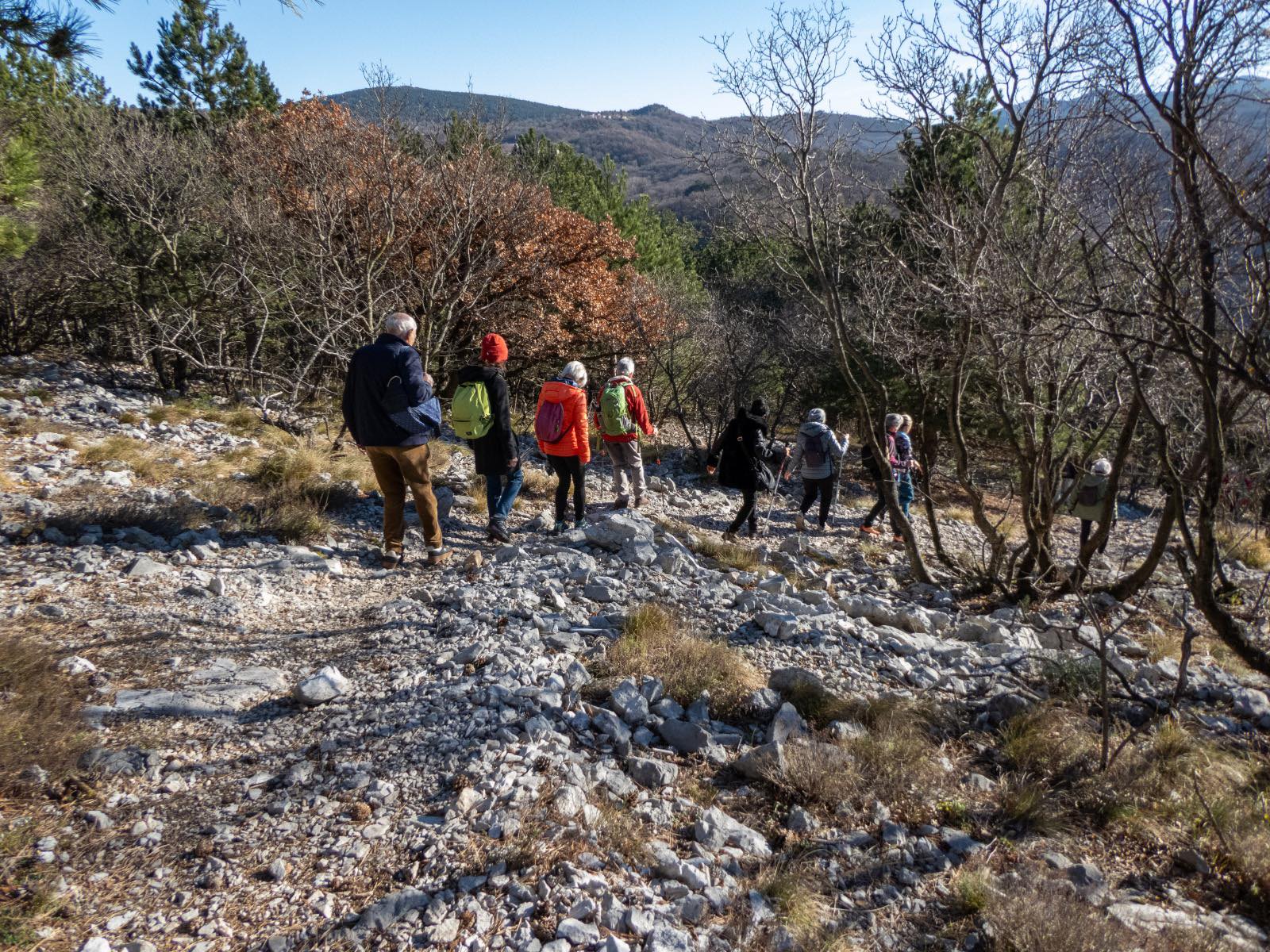 Immagine per Monfalcone, ecco il calendario delle escursioni per il 2026 dell’Associazione Ambientalista Eugenio Rosmann