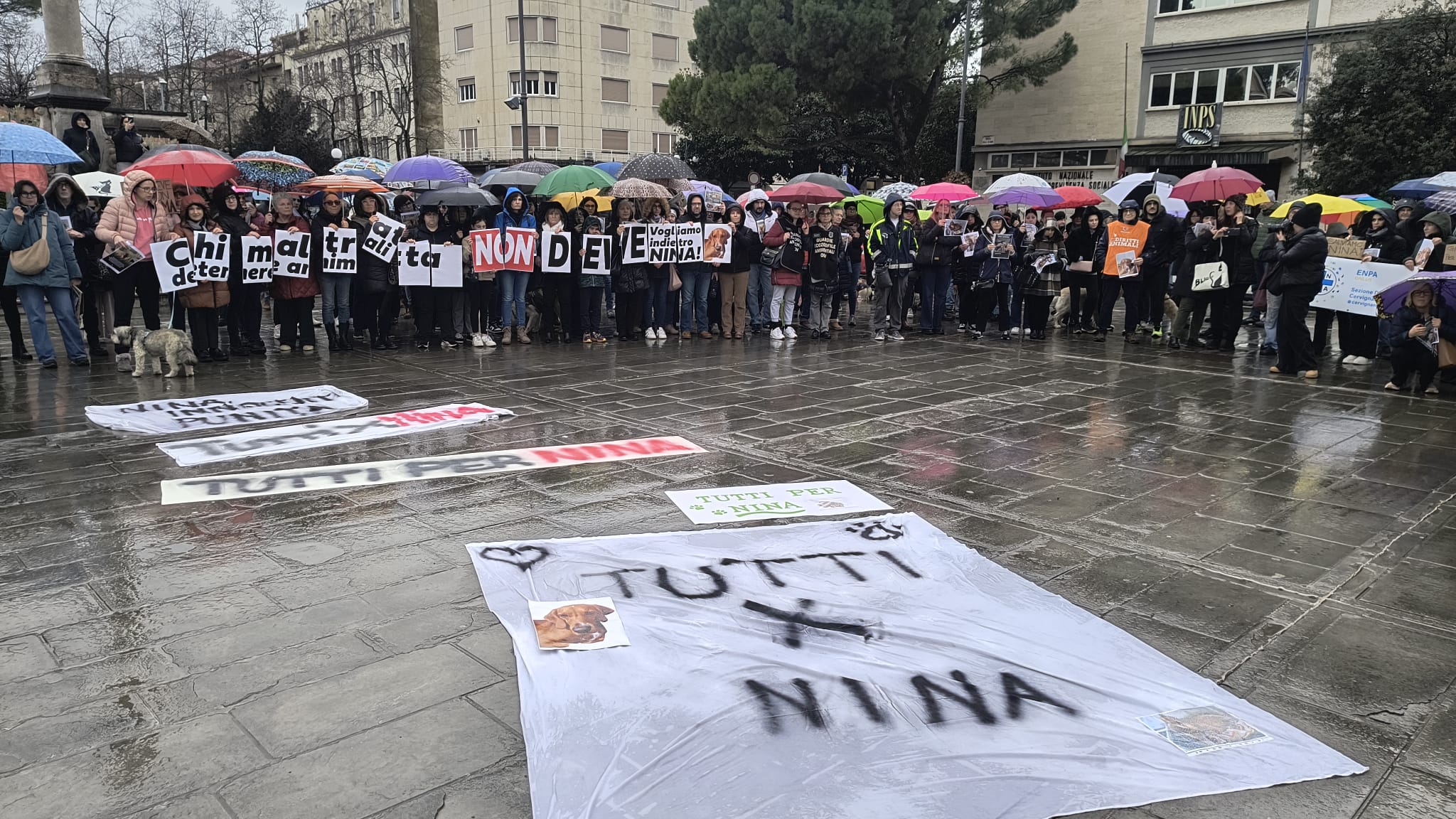 In 300 sfilano a Gorizia per il cane Nina, «sia restituito agli affidatari»