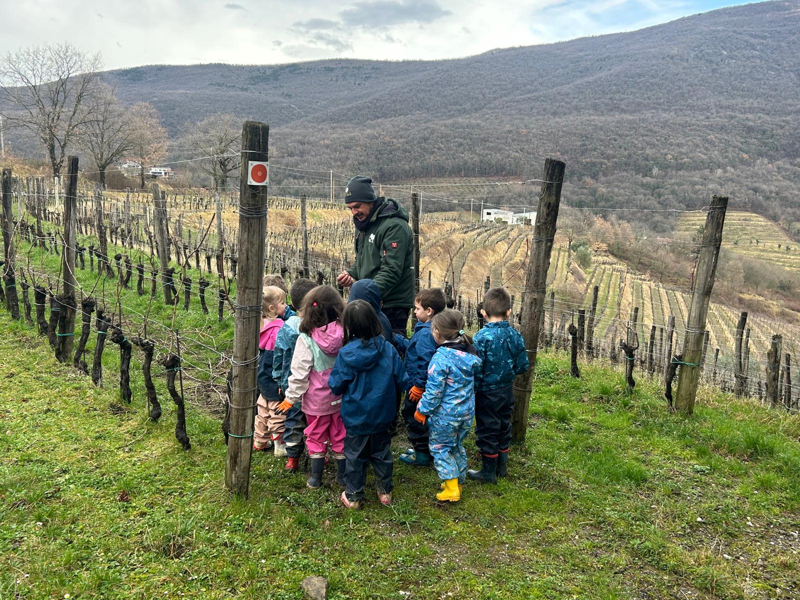 Bambini a lezione di viticoltura a Oslavia: dall’asilo di Piuma alla cantina Fiegl