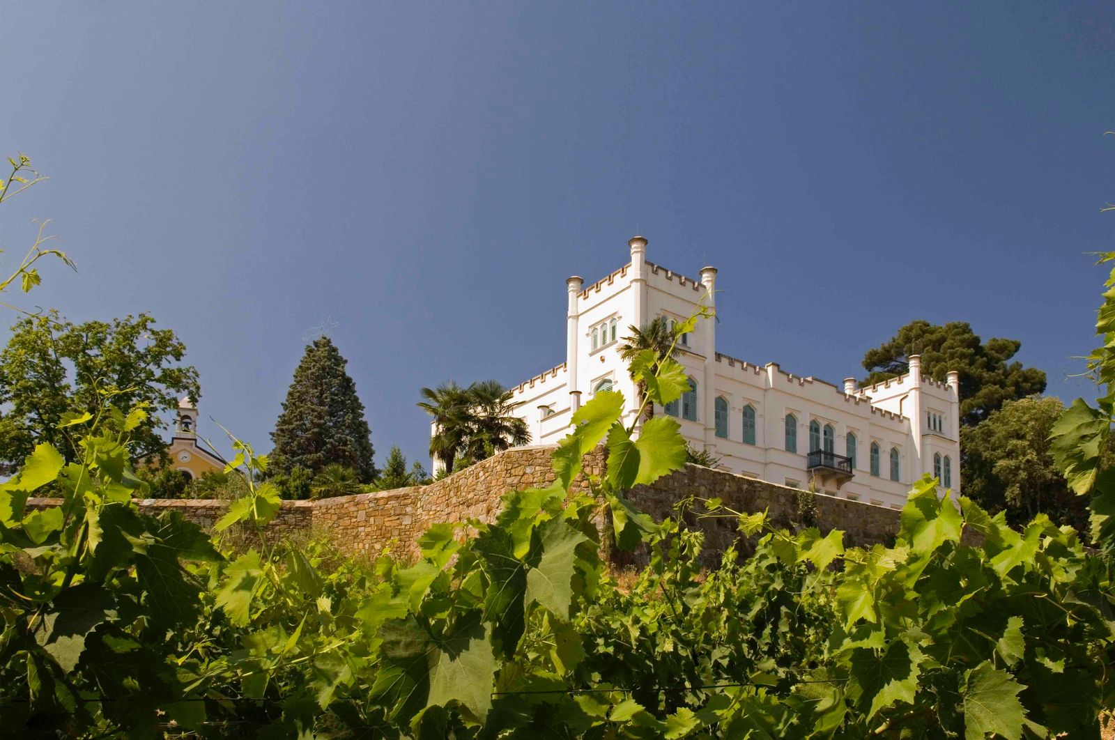 Immagine per Capriva, a Villa Russiz la ‘Summer school’ sulle malattie infettive organizzata da UniUD e Azienda Sanitaria del Friuli Centrale