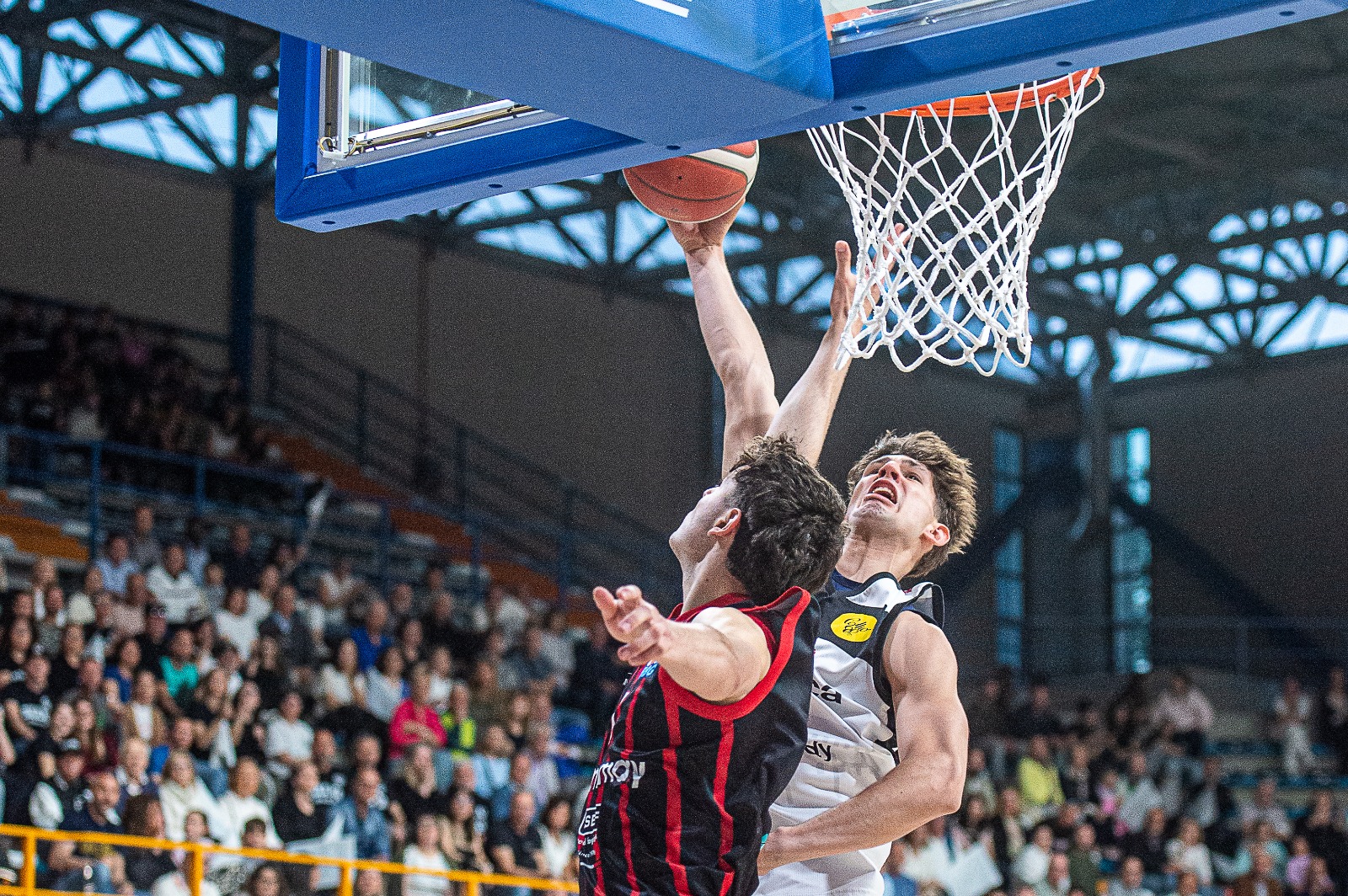 Immagine per Basket, la Dinamica vince di un punto contro Gallarate: termina 75-74 il primo match degli ottavi di playoff