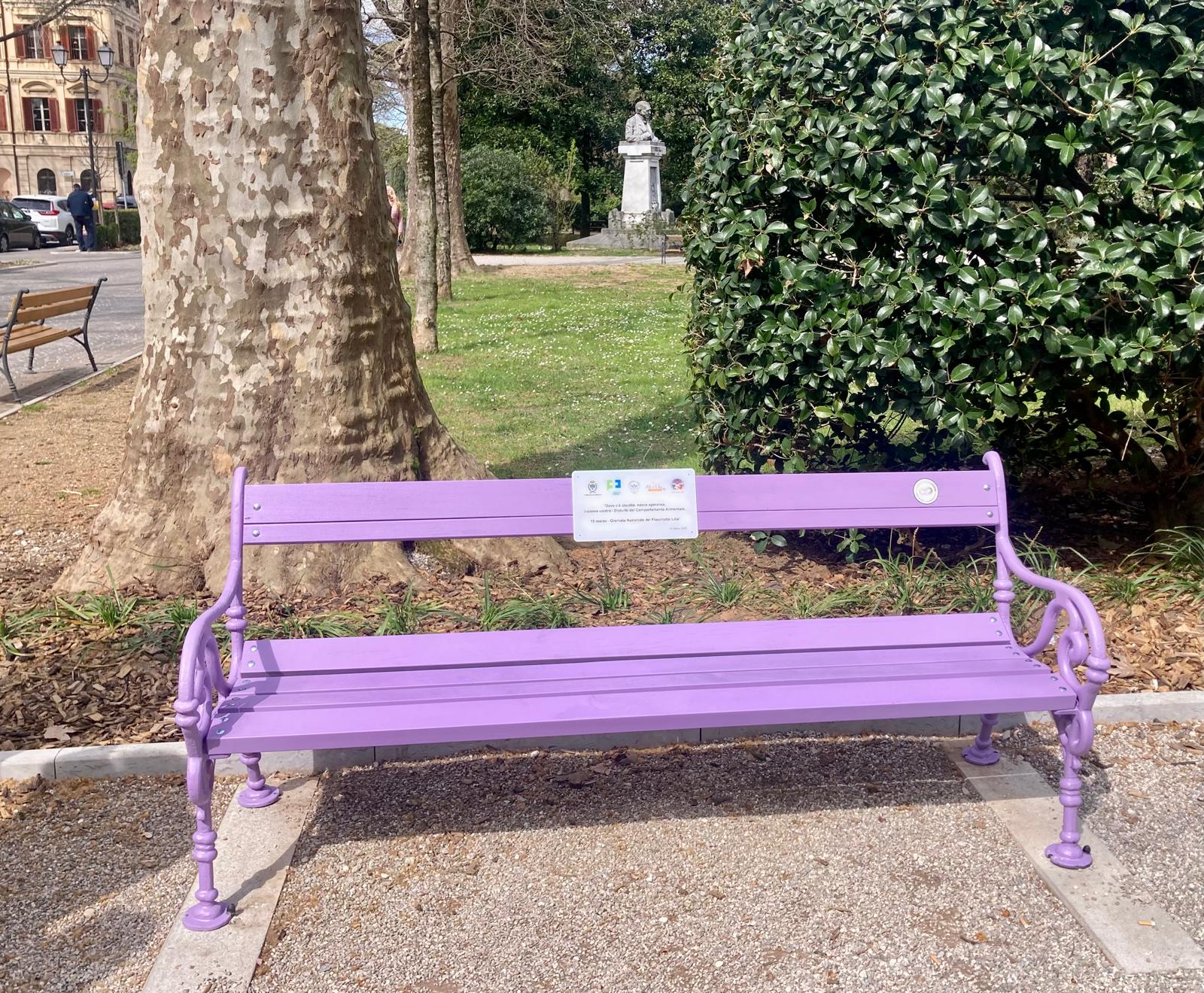 La ‘Panchina lilla’ divide la politica comunale a Gorizia, le Consigliere di minoranza: «Noi escluse, passerella autoreferenziale»