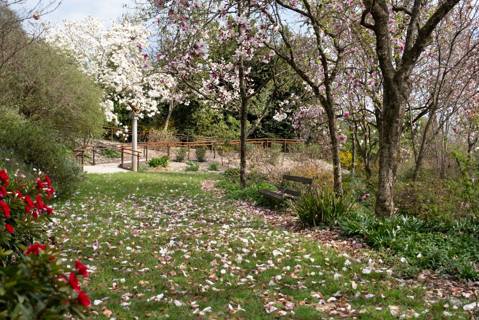 Immagine per Gorizia, con l’arrivo della primavera il Giardino Viatori riapre le sue porte domenica 29 marzo 