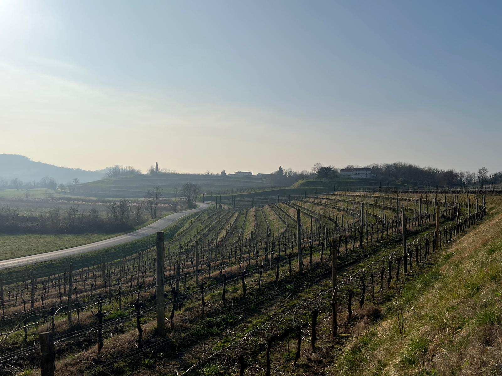 Immagine per Cormons, al via ‘Storie di sconfinamenti. Diari in bicicletta’: sarà una pedalata multisensoriale tra vigne e colli