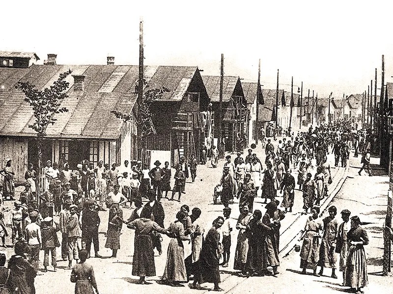 Immagine per Gorizia, la Biblioteca Statale Isontina ospiterà la mostra ‘Profughi’