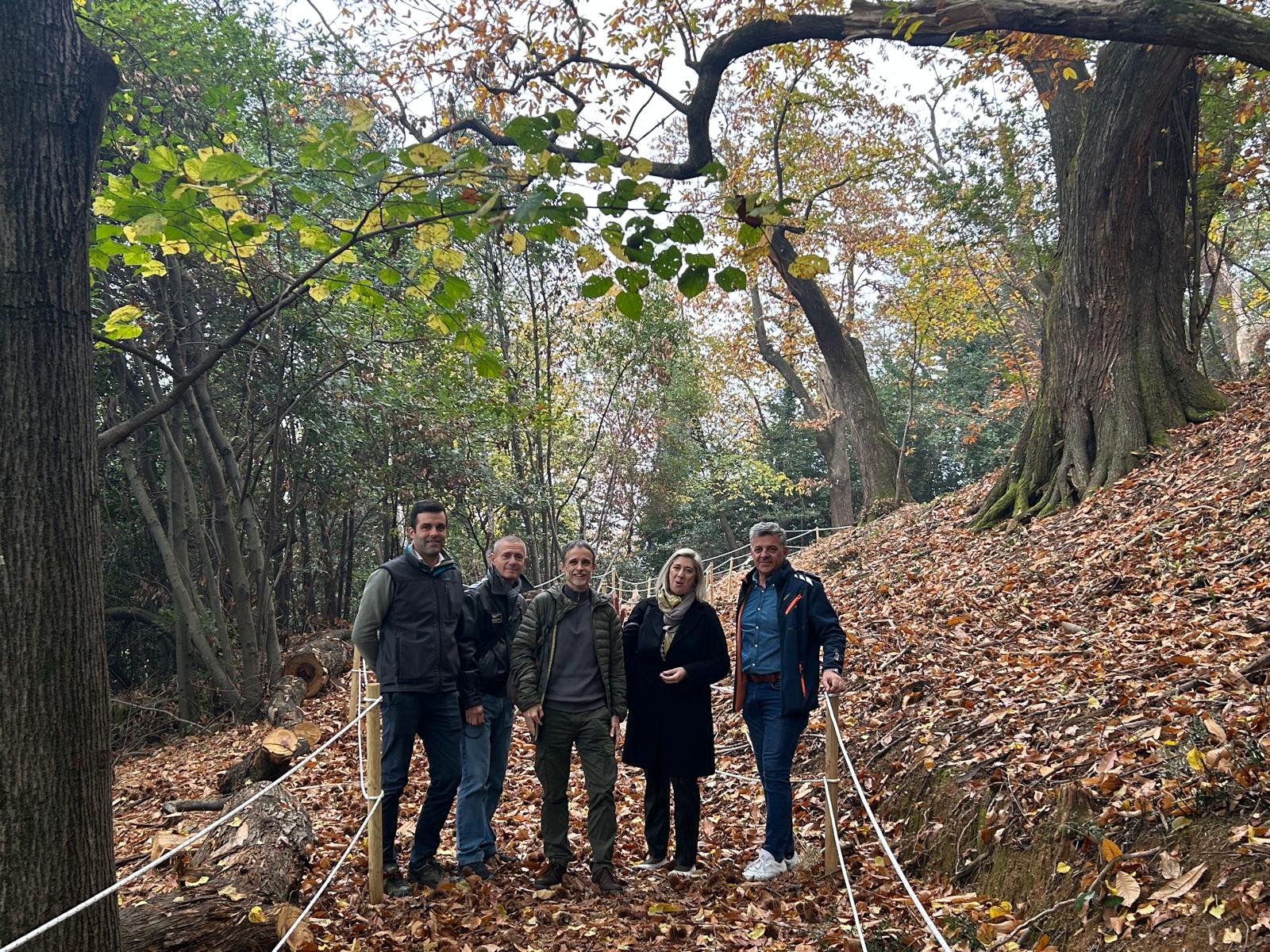 Il bosco di castagni di Borgo Fratta ritorna alla città di Gorizia, ecco il percorso 