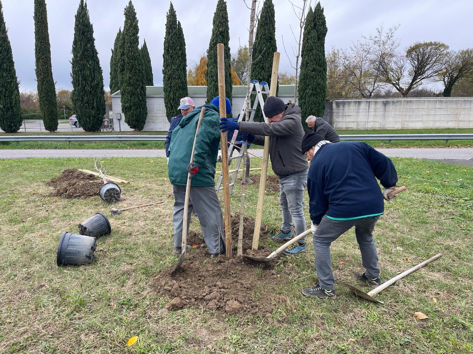 Staranzano celebra la Giornata nazionale degli alberi con una ‘Maratona Verde’
