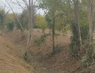 Immagine per San Canzian, la pulizia e la regolarizzazione dei corsi d’acqua comunali parte da via Dobbia