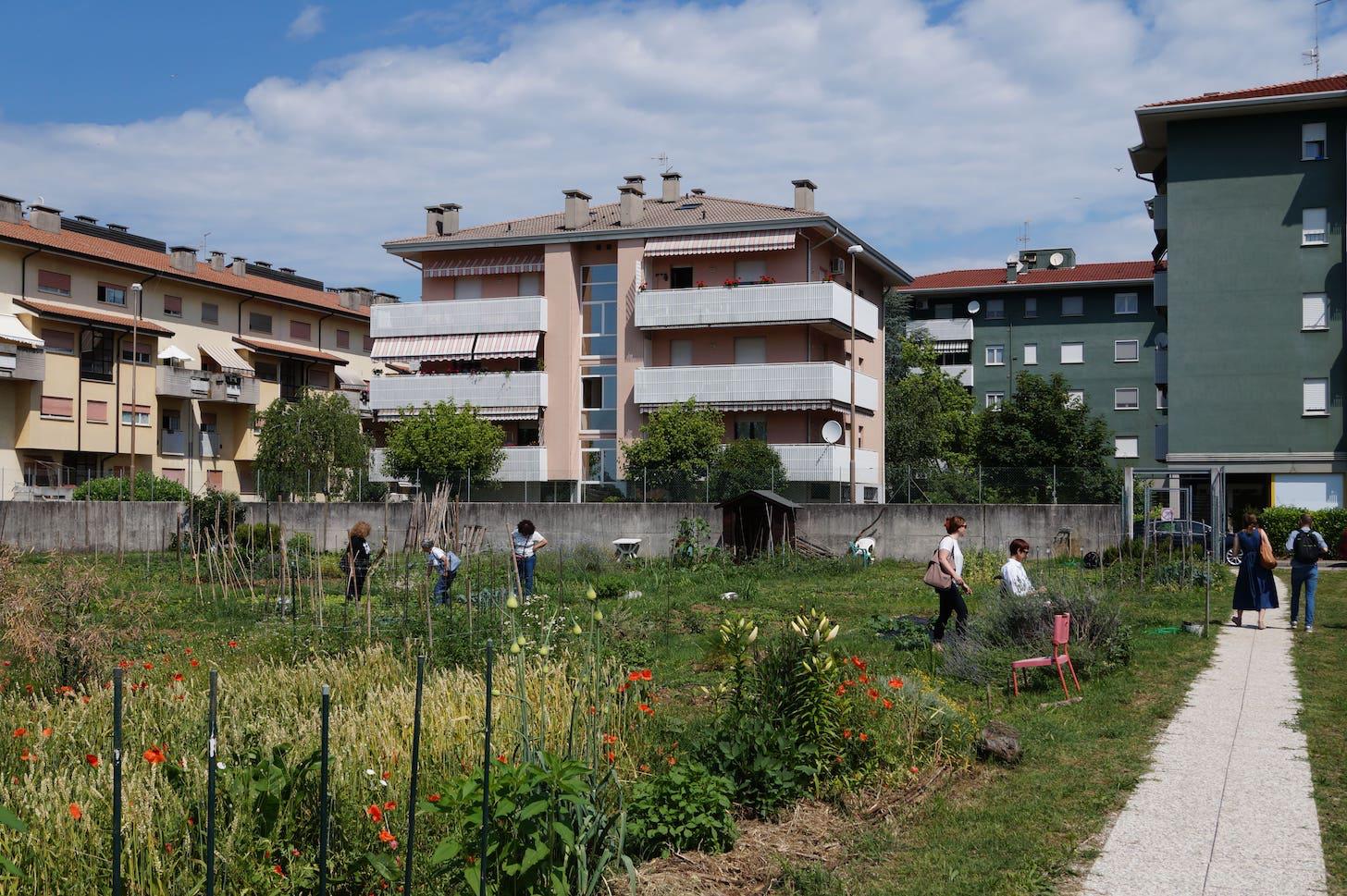 Immagine per Monfalcone raddoppia gli ‘Orti urbani’ con una nuova area tra via Aulo Manlio e via Beniamino Gigli