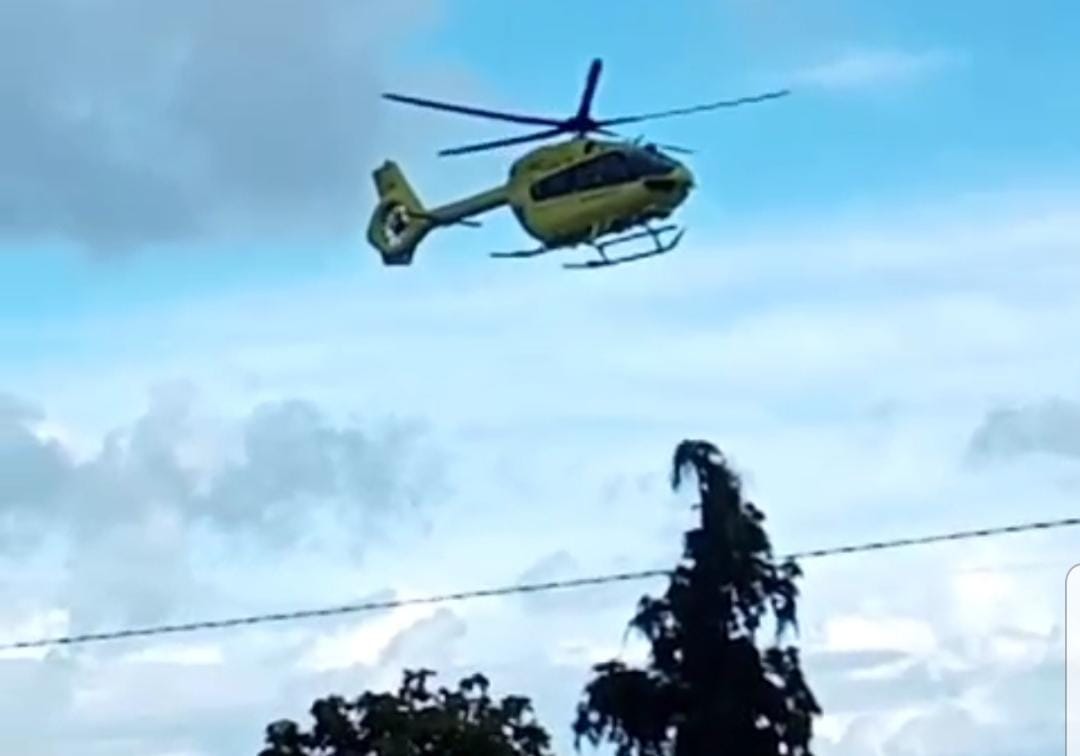 Fossalon, 72enne cade da un albero. Elitrasportato in ospedale