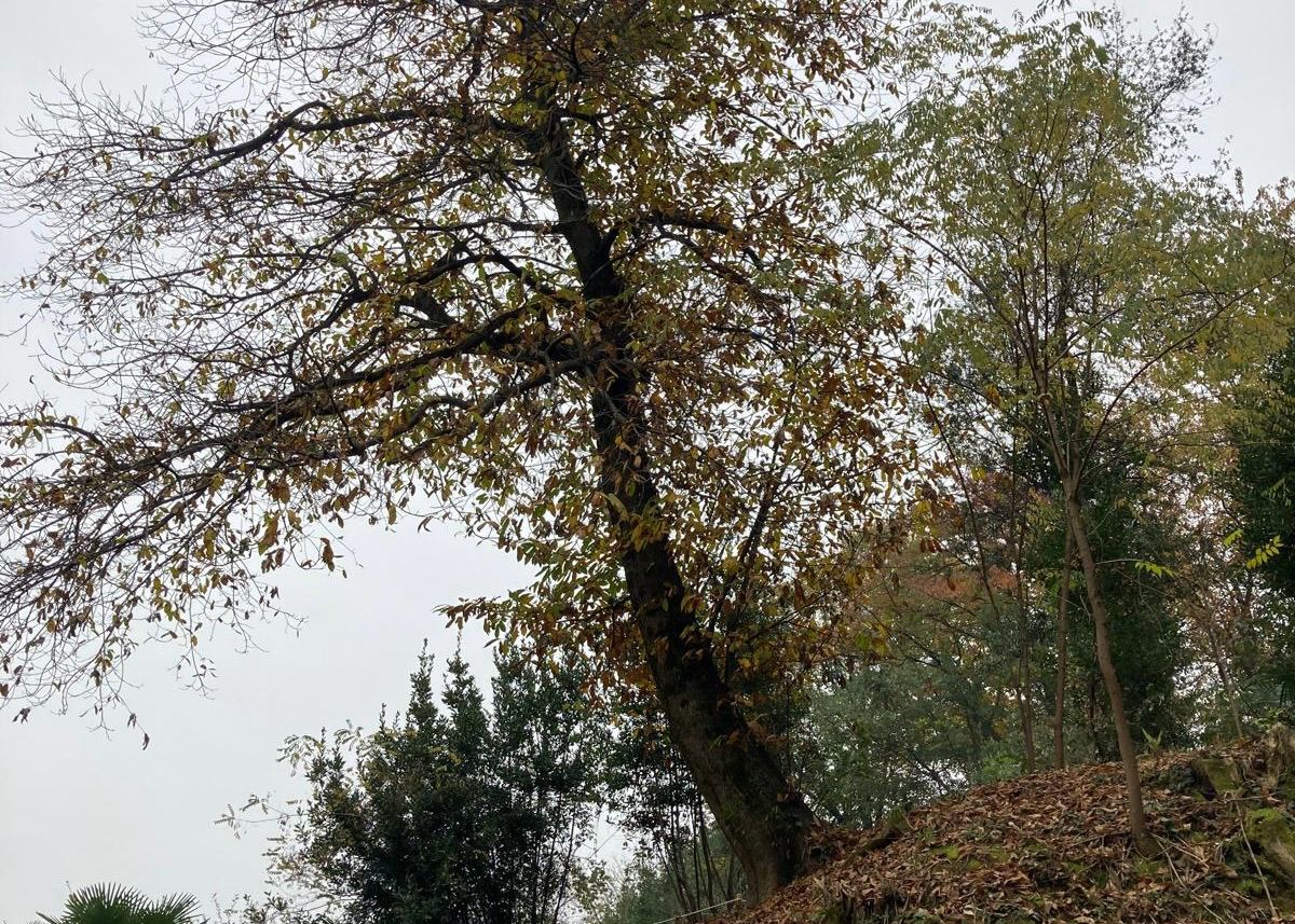 Gorizia, terza giornata di Verde Capitale con una viaggio nell’economia circolare