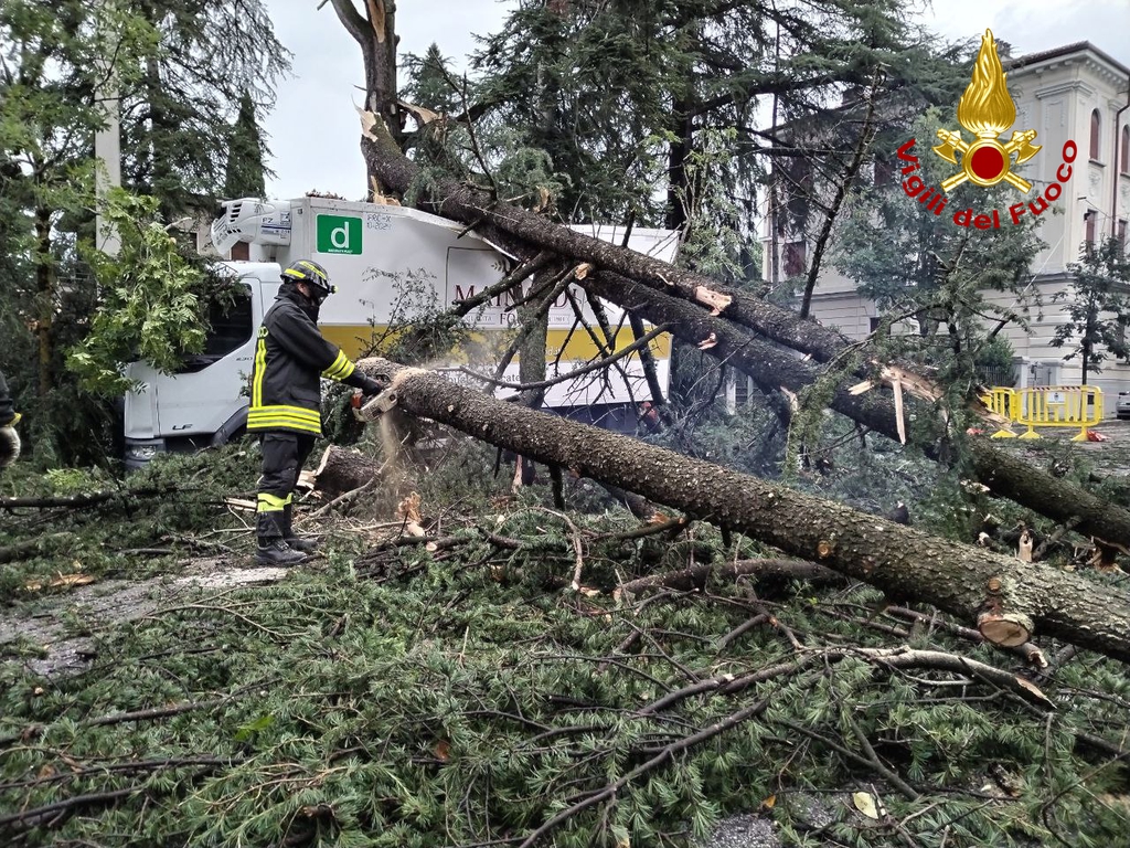 Copertina per Caduta grandine grande come mele, inizia la conta dei danni a Gorizia