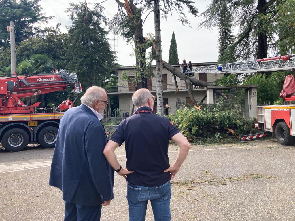 Copertina per La furia del maltempo su Gorizia, danni più gravi a Sant’Andrea e Lucinico