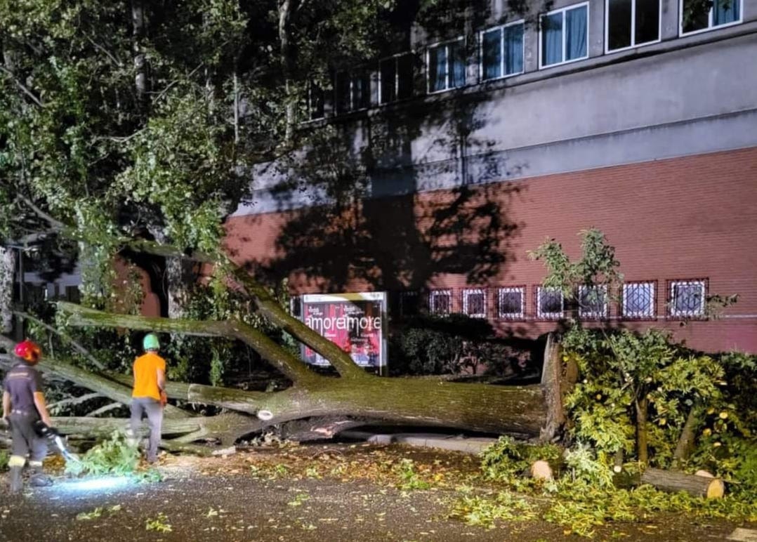 Copertina per Danni causati da maltempo, come segnalare casi al Comune di Monfalcone
