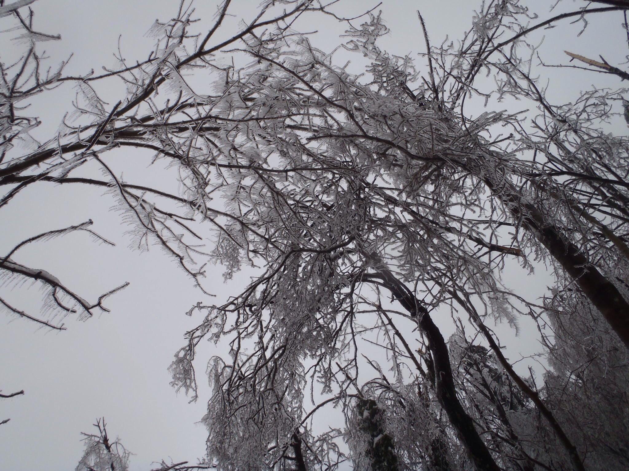 Immagine per Scatta l'allerta gialla per domani per gelicidio e temperature basse