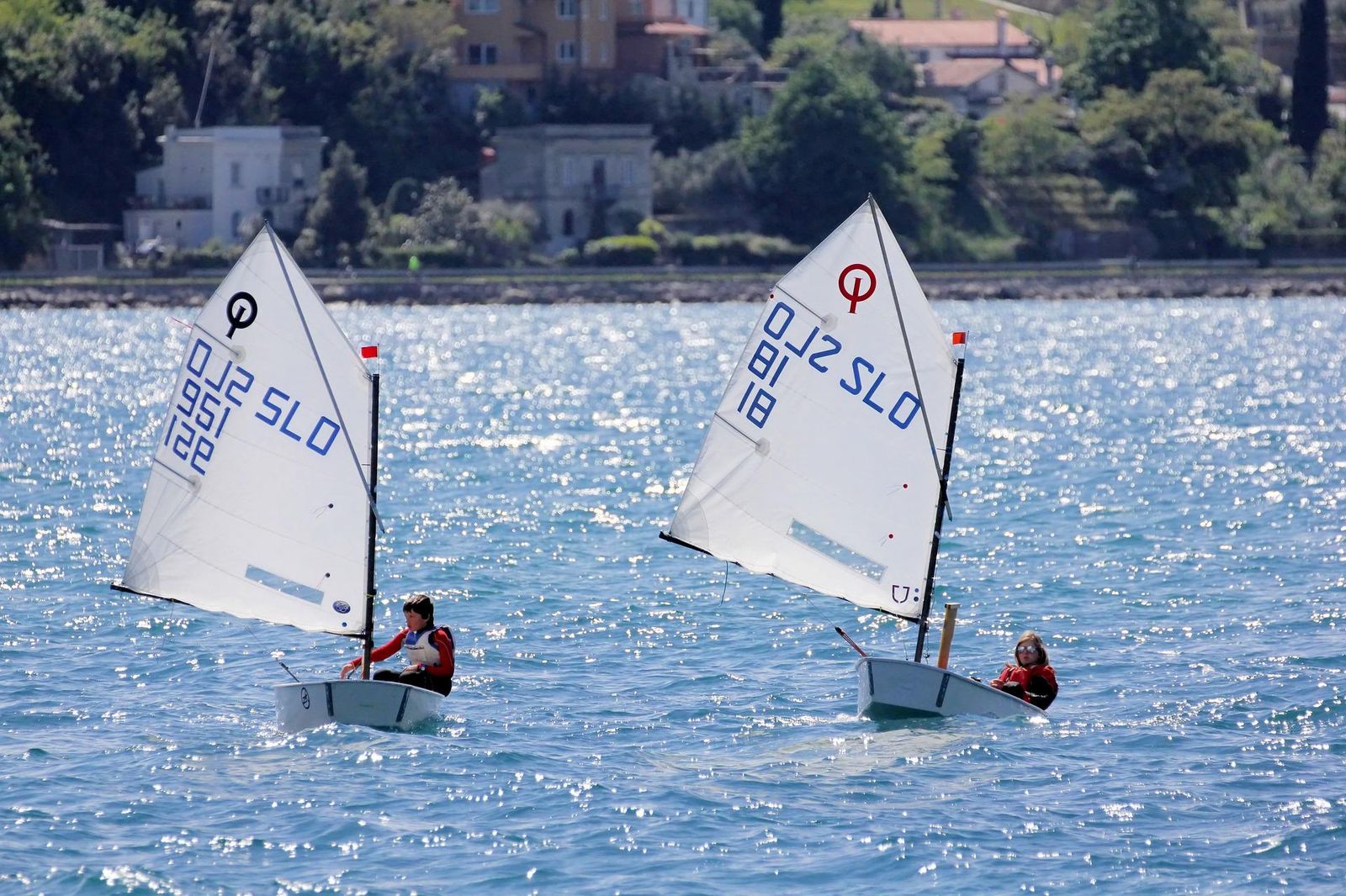 Immagine per Monfalcone, arriva l'Optimist Gold Cup