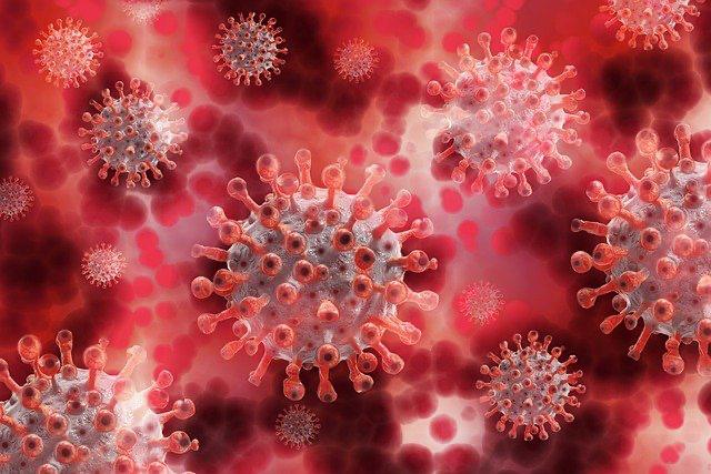 Immagine per La variante Omicron in Fvg, scoperti primi casi a Cormons e Ronchi