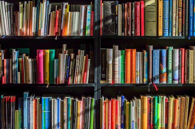 Copertina per Riportare gli utenti in bibioteca l'obiettivo di BiblioGo!
