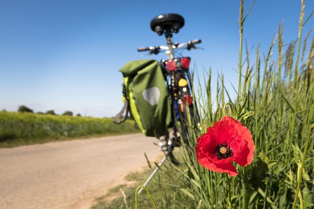 Immagine per Ronchi dei Legionari avvia i lavori per il primo percorso ciclabile