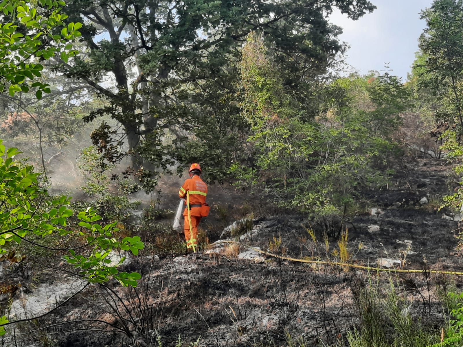 Immagine per Incendio sul Carso a Monfalcone, mezzi e personale dispiegati sotto la Rocca 