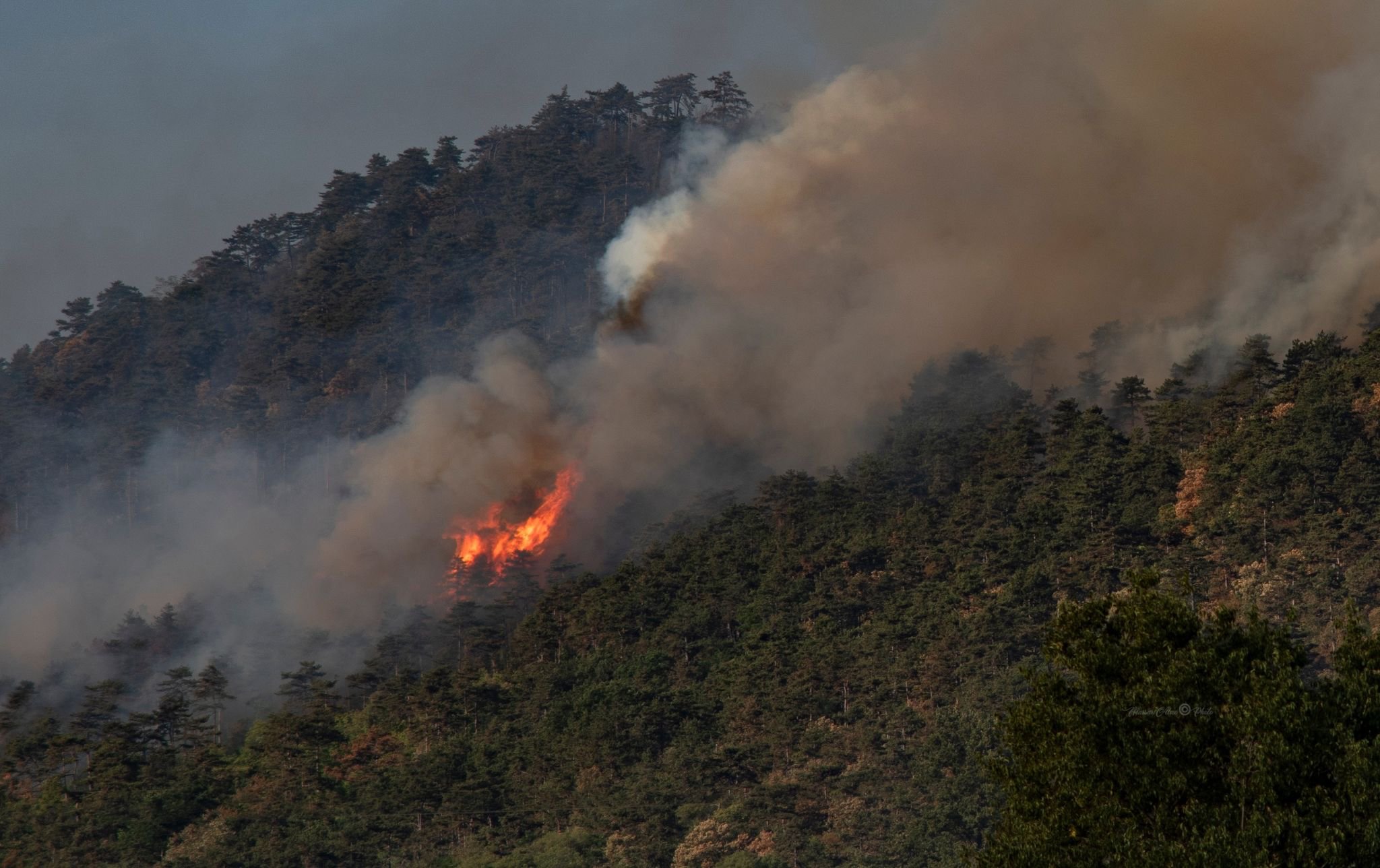 Notte di fuoco sul Brestovec, evacuate le famiglie a San Michele