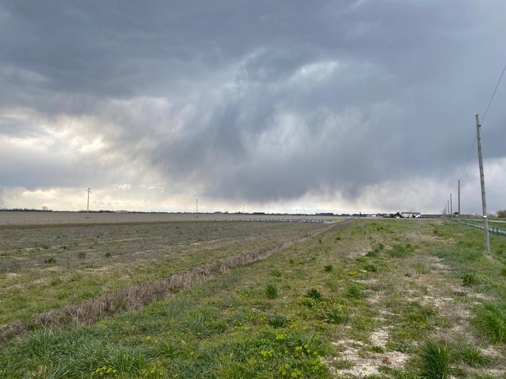 Immagine per Forti piogge a Boscat e Fossalon, «necessari interventi radicali per le zone»